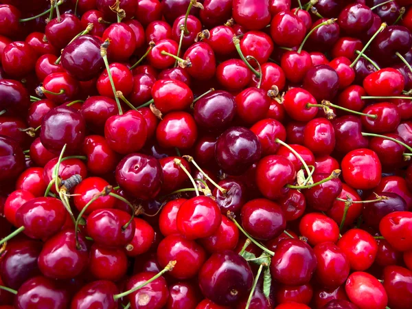 stock image Cherry