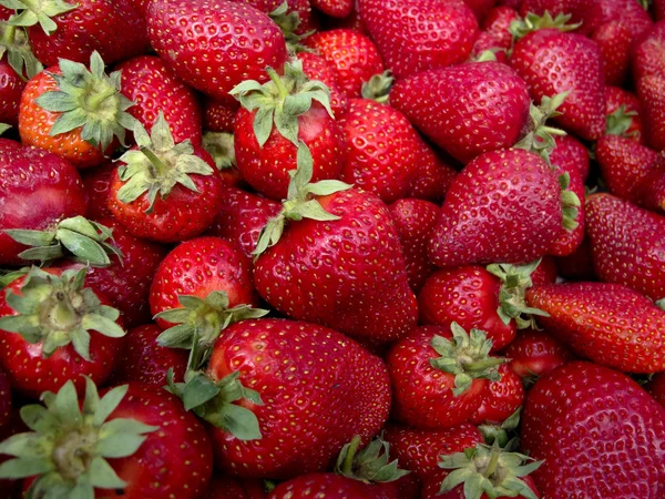 stock image Strawberries