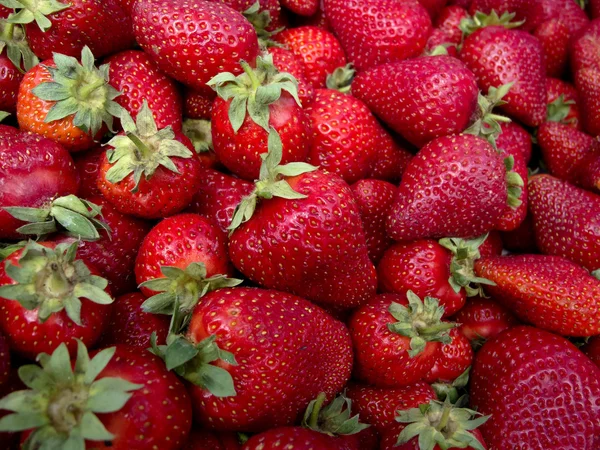 Erdbeeren Stockbild