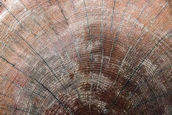 Textura grunge de madeira marrom escuro — Fotografia de Stock