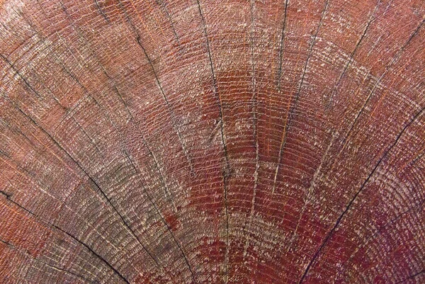 Textura grunge de madeira marrom claro — Fotografia de Stock