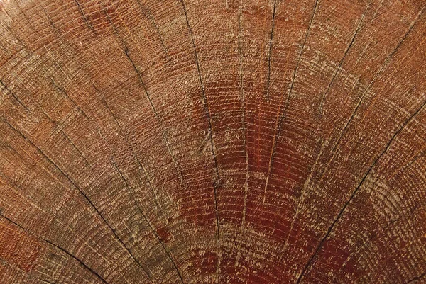 Portocaliu maro din lemn grunge textura — Fotografie, imagine de stoc