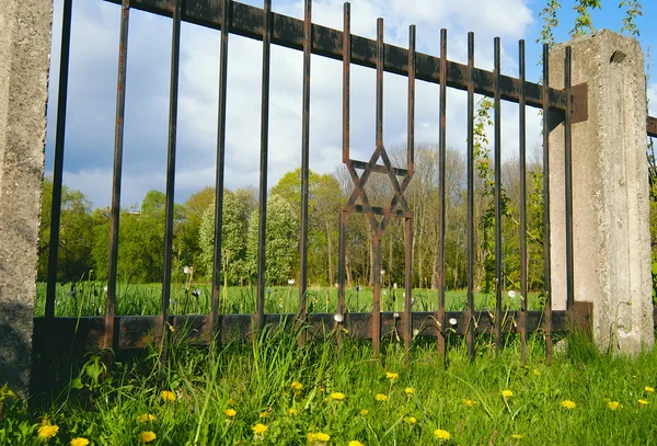 stock image Old jewish cemetery with jewish star