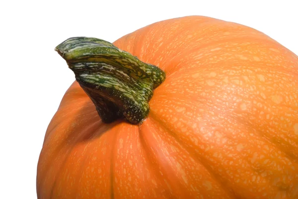 stock image Orange pumpkin background