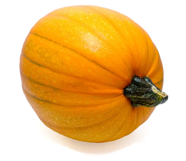 Isolated orange pumpkin with stem Stock Image