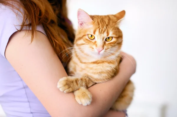 Девушка держит оранжевого кота — стоковое фото