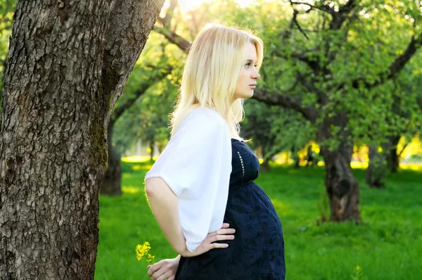 Mujer embarazada joven con flores silvestres en el parque —  Fotos de Stock