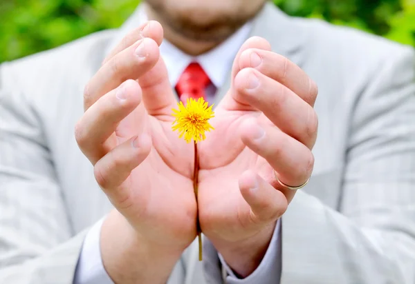 Homme tenant ou protégeant des fleurs jaunes — Photo