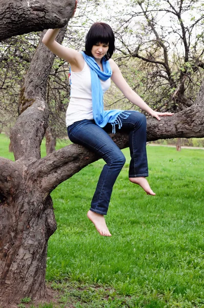 Девушка сидит на дереве — стоковое фото