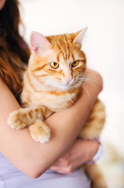 Девушка держит оранжевого кота — стоковое фото