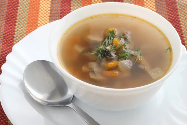Suppe in einer weißen Schüssel — Stockfoto