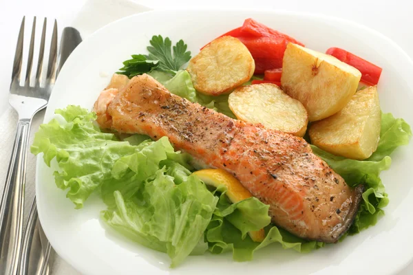 stock image Fried salmon with potato