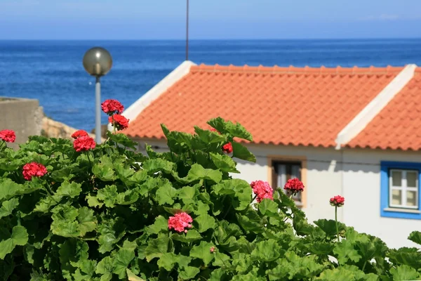 赤い屋根と海を見る — ストック写真