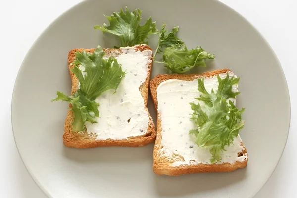 Toasts au fromage — Photo