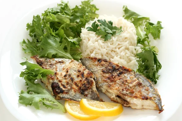 Fried fish with rice — Stock Photo, Image
