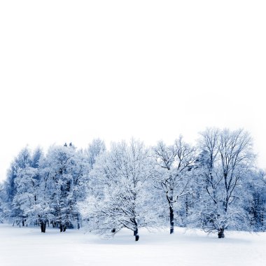 Frosty trees clipart