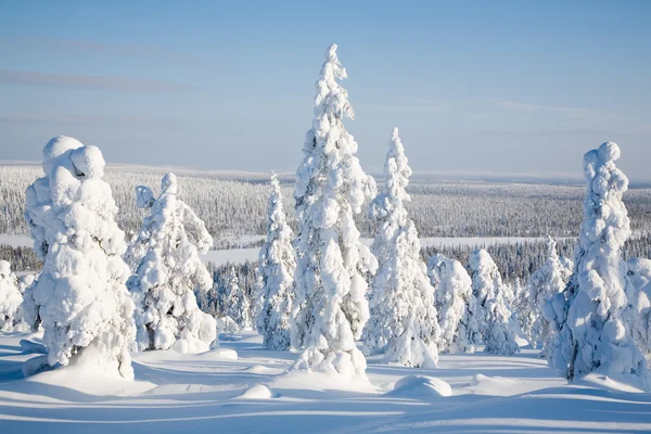 Лапландія Фінляндії — стокове фото