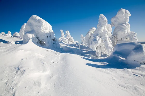 Lapland Finland — Zdjęcie stockowe