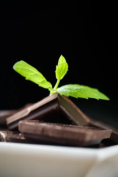 Mint chocolate — Stock Photo, Image