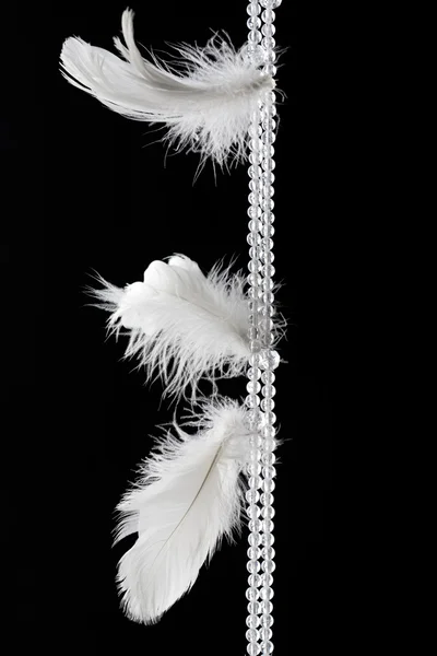 화이트 깃털 — 스톡 사진