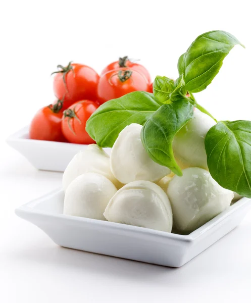Mozzarella, Tomaten und Basilikum — Stockfoto