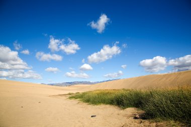 Maspalomas kum tepeleri