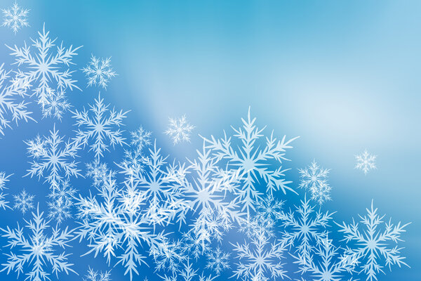 Christmas illustration