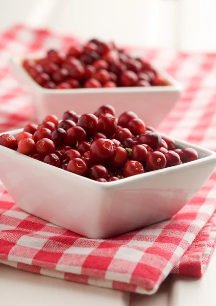 Fresh cranberries — Stock Photo, Image