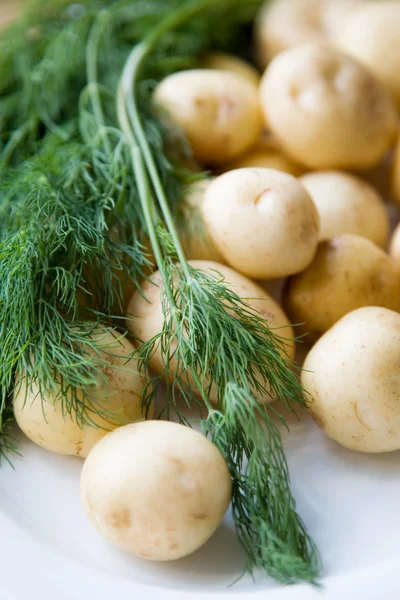 Свежий картофель и укроп — стоковое фото