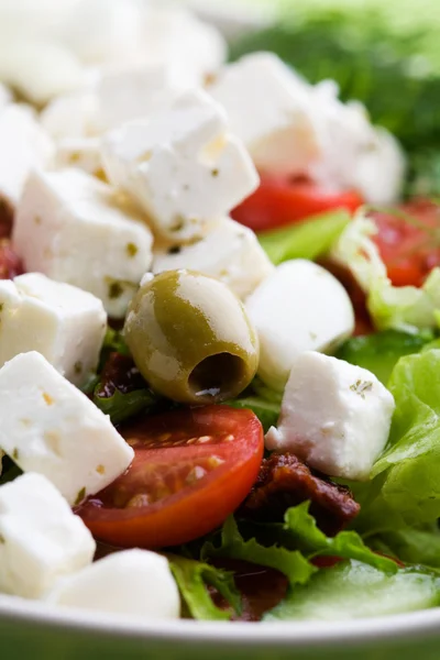 Taze beyaz peynir salatası — Stok fotoğraf