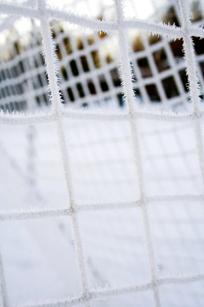 Frozen net — Stock Photo, Image