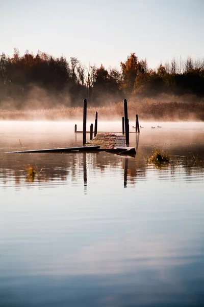 朝の霧 — ストック写真