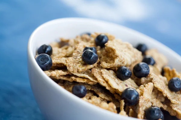 Breakfast cereal with blueberries — Stock Photo, Image