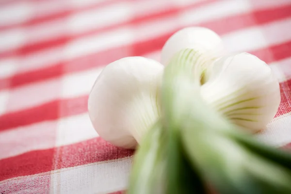 Cebollas frescas — Foto de Stock