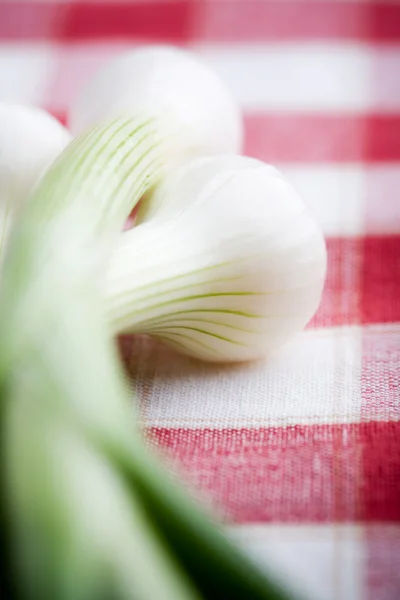 Cipolle fresche — Foto Stock