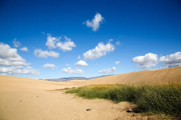 Maspalomas dunas de areia — Fotografia de Stock