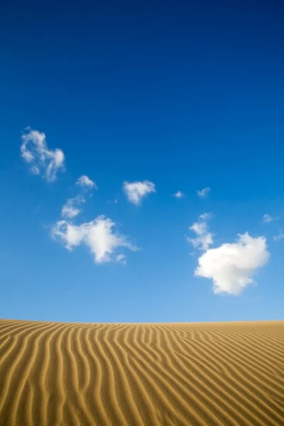 Maspalomas sand dunes — Stock Photo, Image