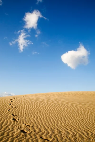 Maspalomas sand dunes — Stock Photo, Image