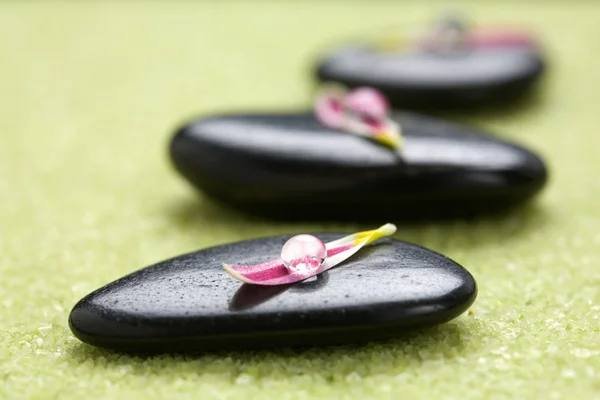 Steine mit Blütenblättern — Stockfoto