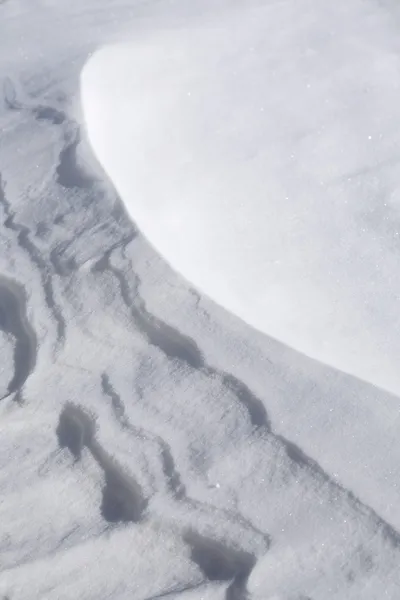 Dunes de neige — Photo