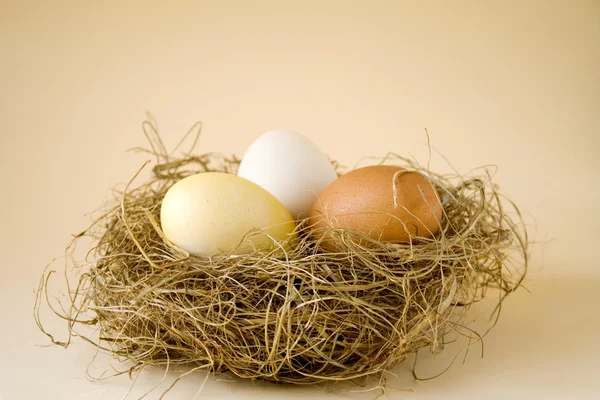 Uova pasquali in un nido — Foto Stock