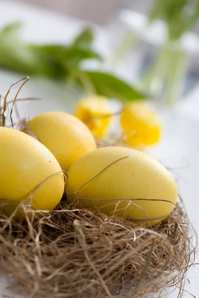 Ovos de Páscoa amarelos — Fotografia de Stock