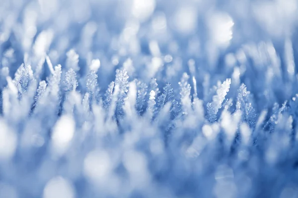 Ледяные кристаллы — стоковое фото