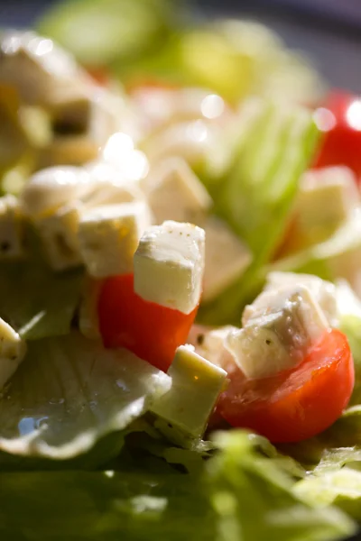 Beyaz peynir salatası — Stok fotoğraf