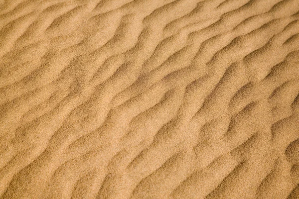 Sand dunes — Stock Photo, Image