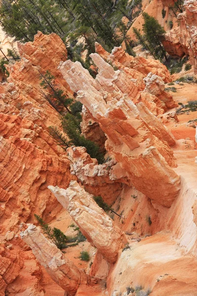 Canyon di Bryce — Foto Stock