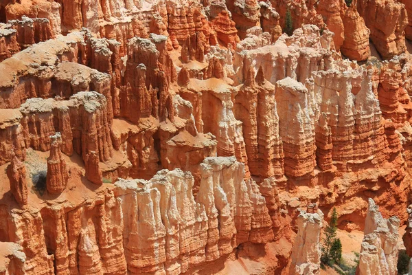 Bryce-schlucht — Stockfoto