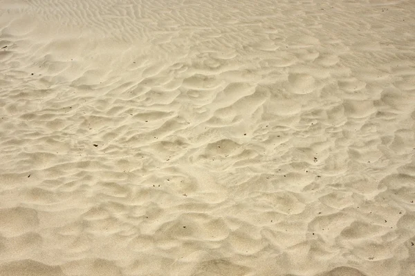 Písek na pláži — Stock fotografie