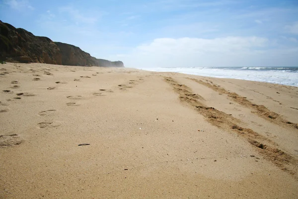 Pistas en la playa —  Fotos de Stock