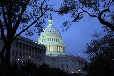 Capitol by night clipart